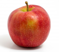 apple-on-white-1432833 cropped