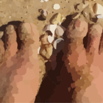 feet