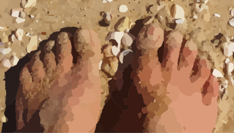feet
