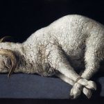 lamb