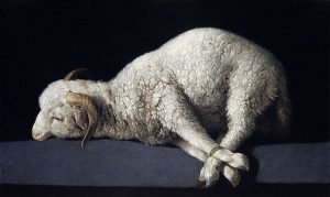 lamb