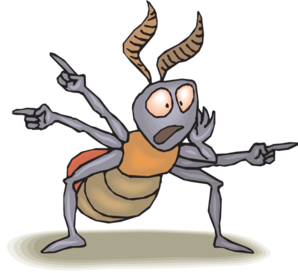 cocroach