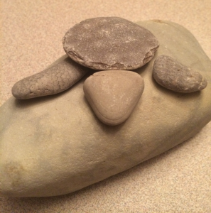 Turtle Rock