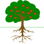apple-tree-with-roots-md