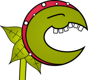 carnivorous plant cropped
