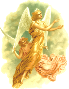 fairies
