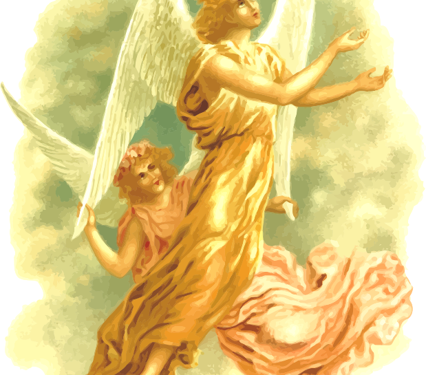 fairies